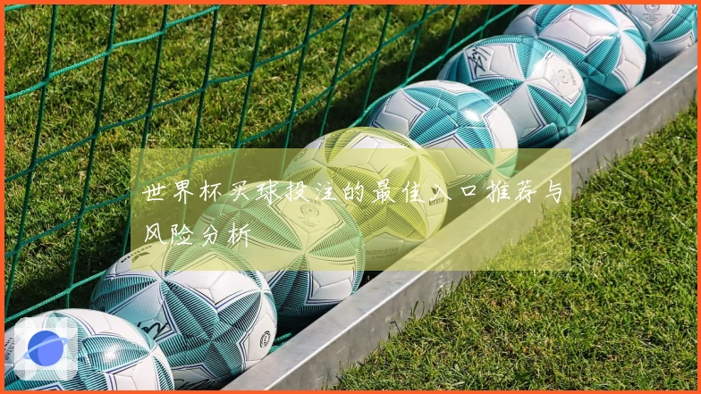 世界杯买球投注的最佳入口推荐与风险分析