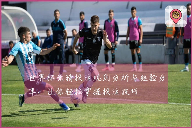 世界杯竞猜投注规则分析与经验分享，让你轻松掌握投注技巧