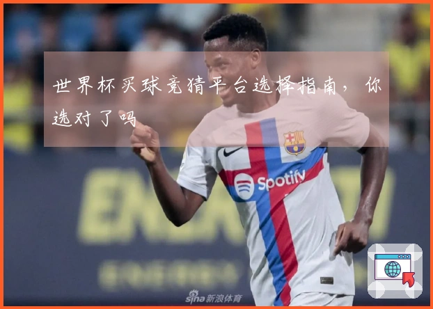 世界杯买球竞猜平台选择指南，你选对了吗