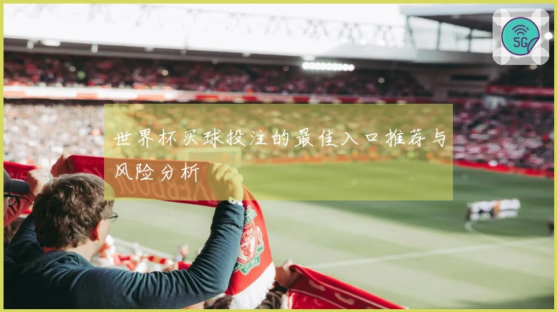 世界杯买球投注的最佳入口推荐与风险分析